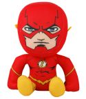 /flash-1_1.jpg