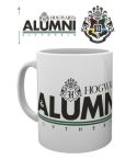 /mg3123-harry-potter-alumni-slytherin-mockup.jpg
