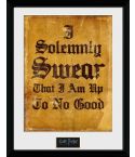 /pfc2027-harry-potter-i-solemnly-swear.jpg