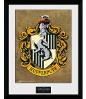 /pfc2227-harry-potter-hufflepuff.jpg