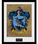 /pfc2228-harry-potter-ravenclaw.jpg