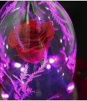 /speaker-beauty-the-beast-enchanted-rose.jpg