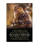 /star_wars_-_chewbacca_frame_1.jpg
