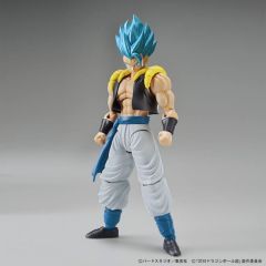 /frs_super_saiyan_god_20super_saiyan_gogeta_1_.jpg
