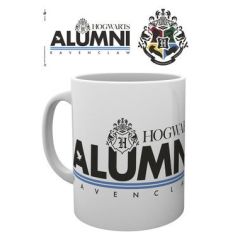 /mg3124-harry-potter-alumni-ravenclaw-mockup.jpg
