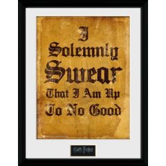/pfc2027-harry-potter-i-solemnly-swear.jpg