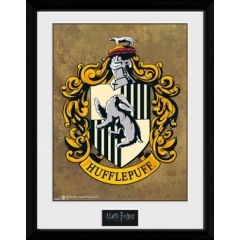 /pfc2227-harry-potter-hufflepuff.jpg