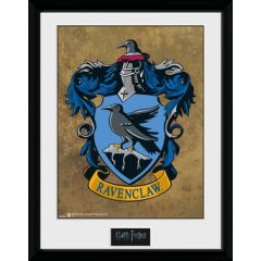 /pfc2228-harry-potter-ravenclaw.jpg
