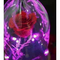 /speaker-beauty-the-beast-enchanted-rose.jpg