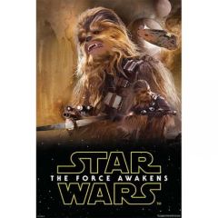 /star_wars_-_chewbacca_frame_1.jpg